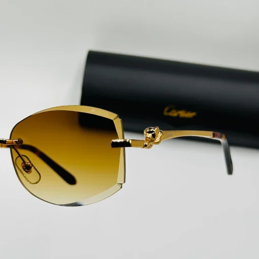 Cartier CT0282 – Image 3