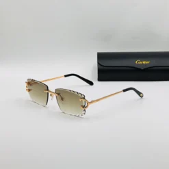 CAR-TIER LUXE CT00920