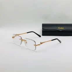 CART-IER CT02810 Photochromic