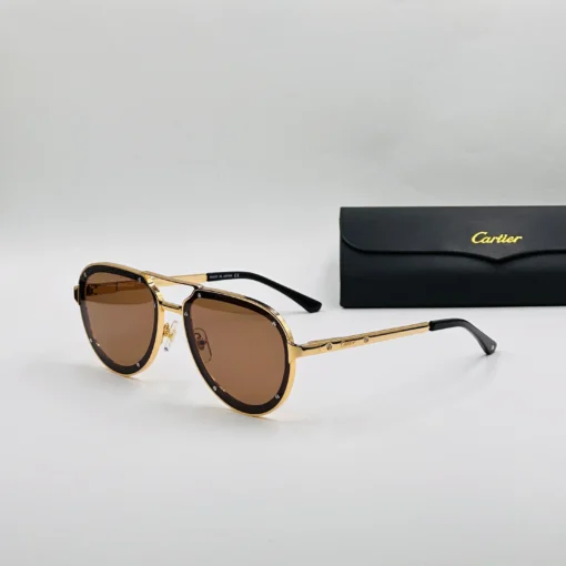CART-IER Santos CT0195S – Image 3