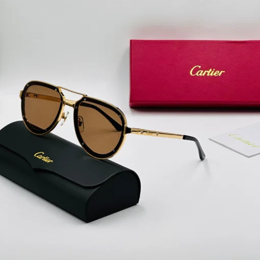 CART-IER Santos CT0195S – Image 12