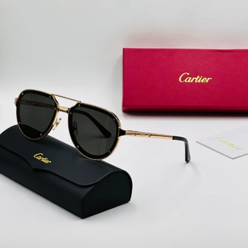 CART-IER Santos CT0195S – Image 10