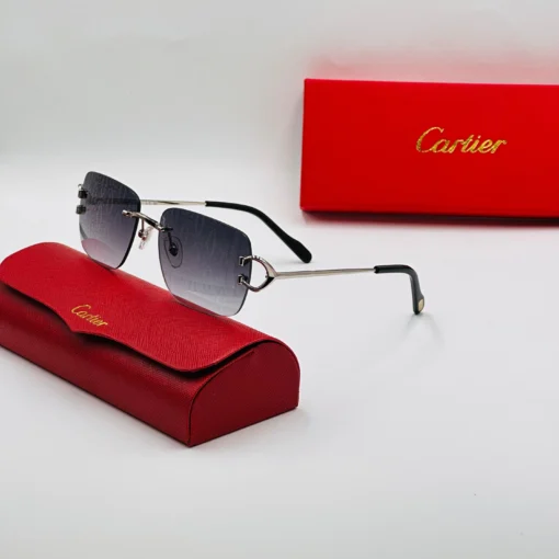 Cartier CT0330S – Image 2