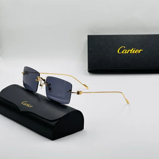 Cart-ier Titanium CT0367S – Image 5
