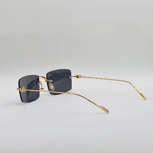 Cart-ier Titanium CT0367S – Image 15
