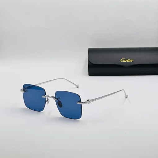 Cart-ier Titanium CT0403S – Image 4