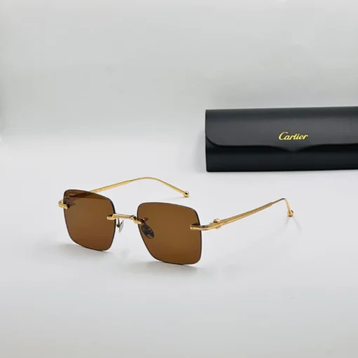 Cart-ier Titanium CT0403S – Image 3