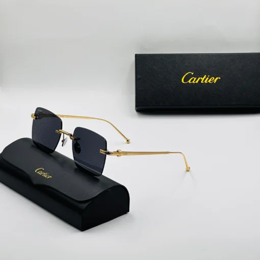 Cart-ier Titanium CT0403S – Image 6