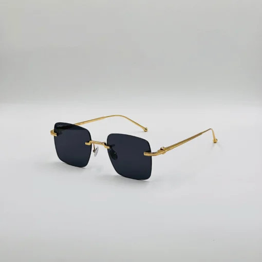 Cart-ier Titanium CT0403S – Image 10