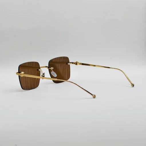 Cart-ier Titanium CT0403S – Image 17
