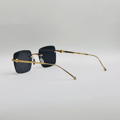 Cart-ier Titanium CT0403S – Image 16