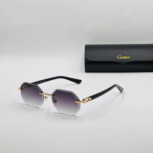 Cart-ier CT0439 – Image 3