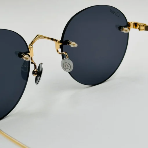Cart-ier Titanium CT0393S – Image 4