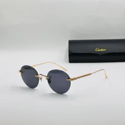 Cart-ier Titanium CT0393S