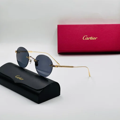 Cart-ier Titanium CT0393S – Image 5