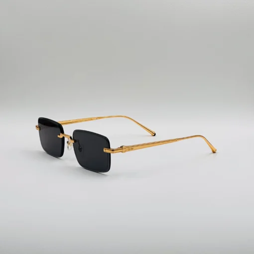 Cart-ier CT0610S – Image 13
