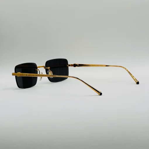 Cart-ier CT0610S – Image 16
