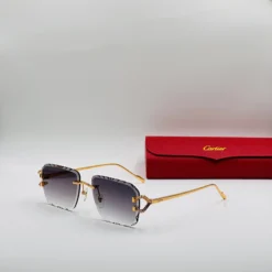 Cartier CT0576S