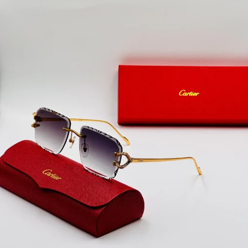 Cartier CT0576S – Image 4