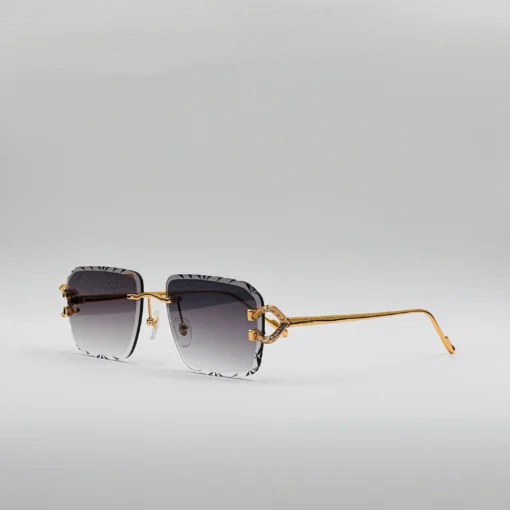 Cartier CT0576S – Image 10