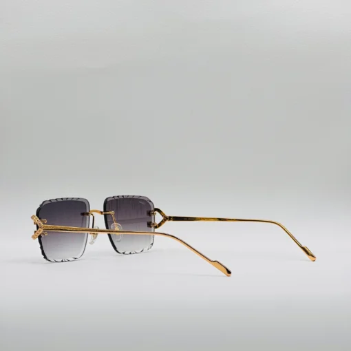 Cartier CT0576S – Image 13