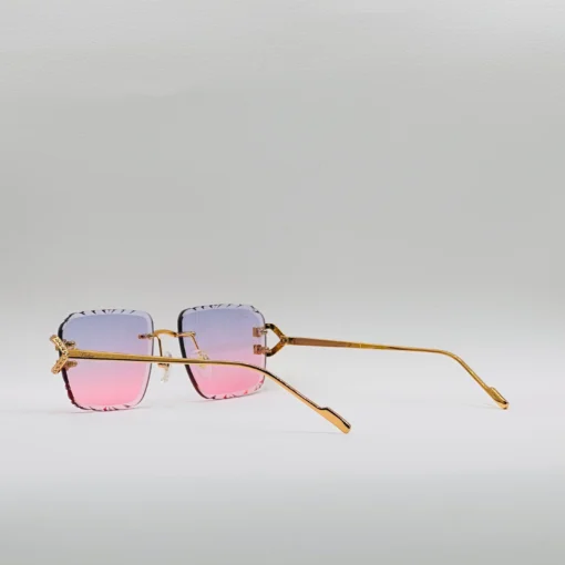 Cartier CT0576S – Image 14