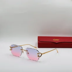 Cartier CT0576S
