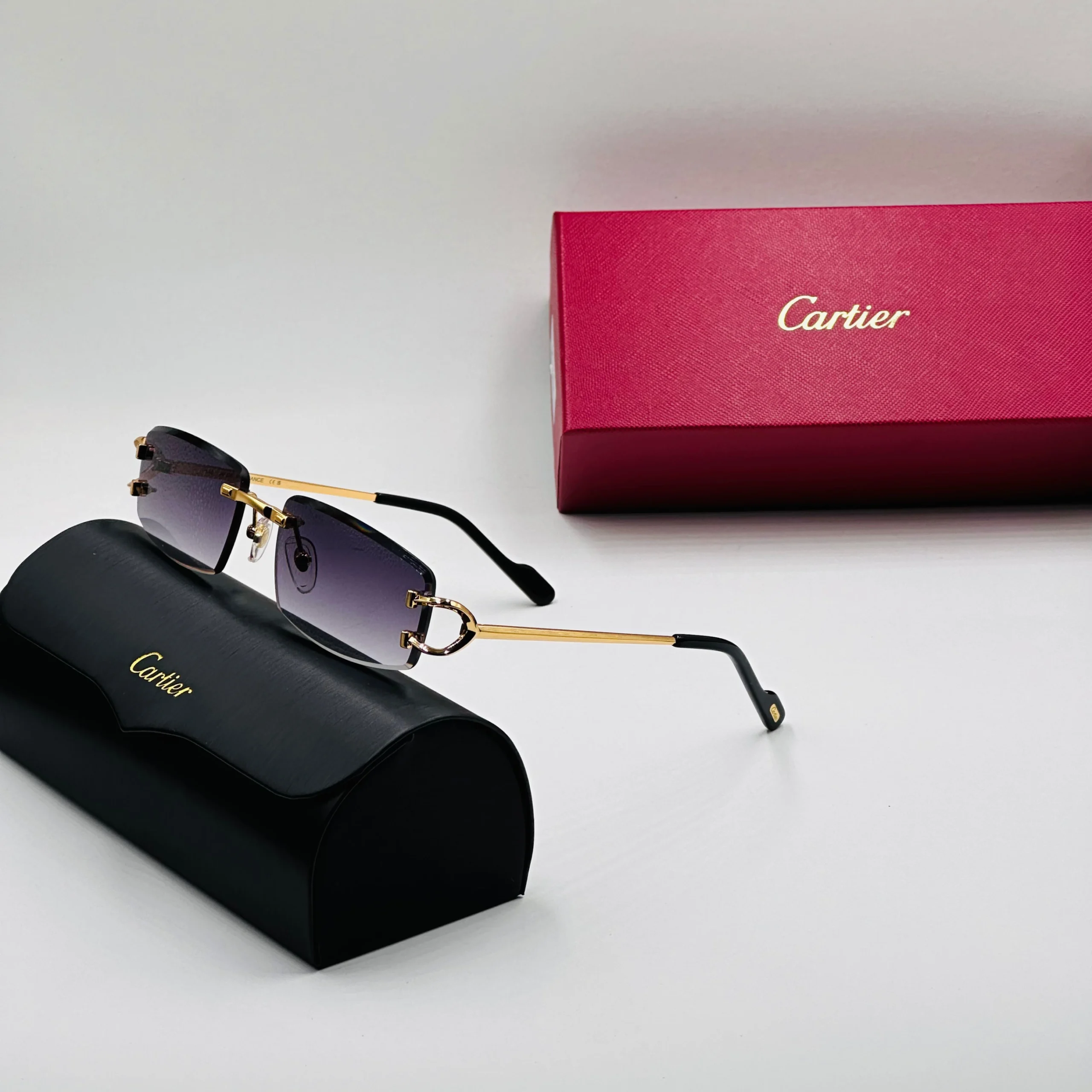 CART-IER CT0467S – Image 3