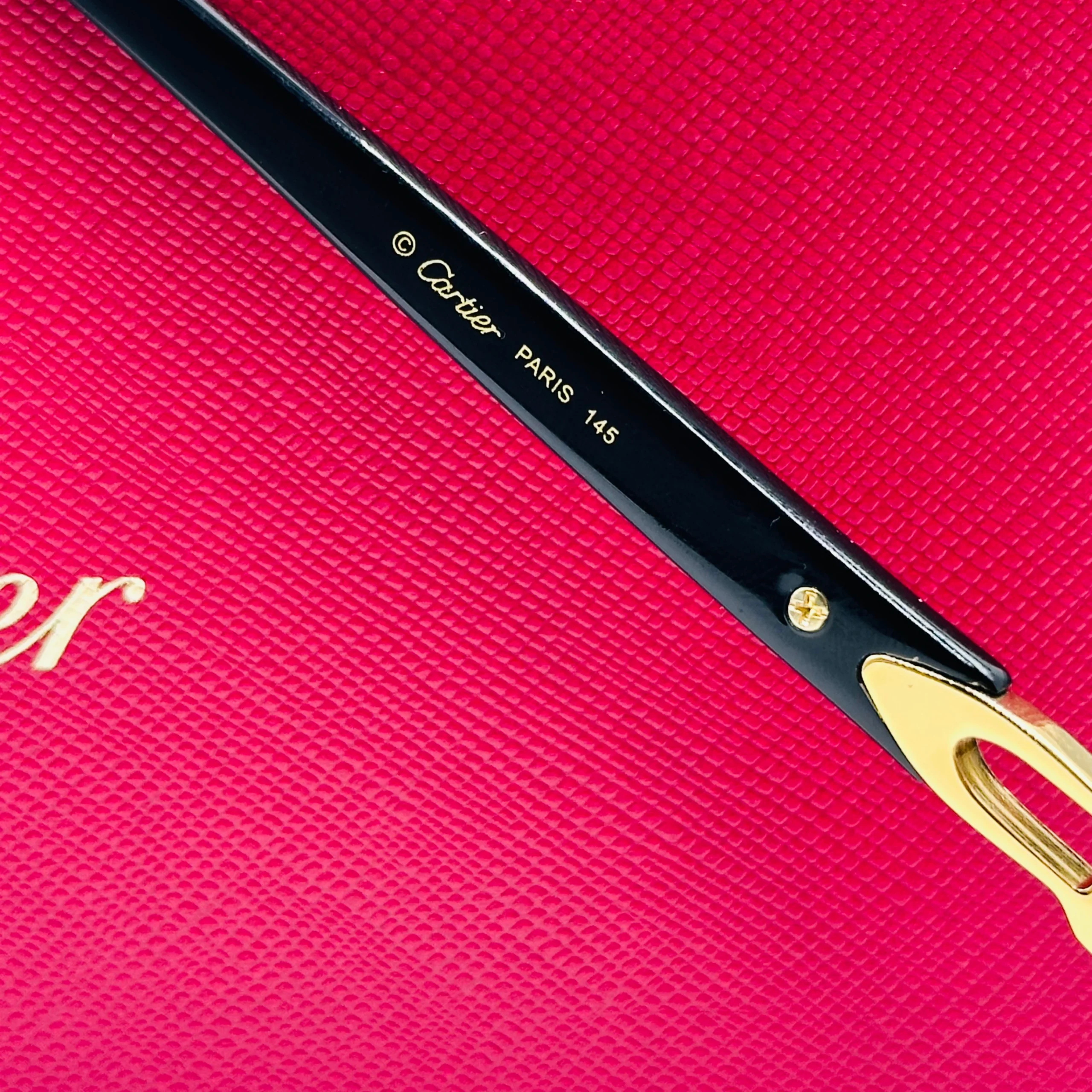 Cart-ier CT0902S – Image 10