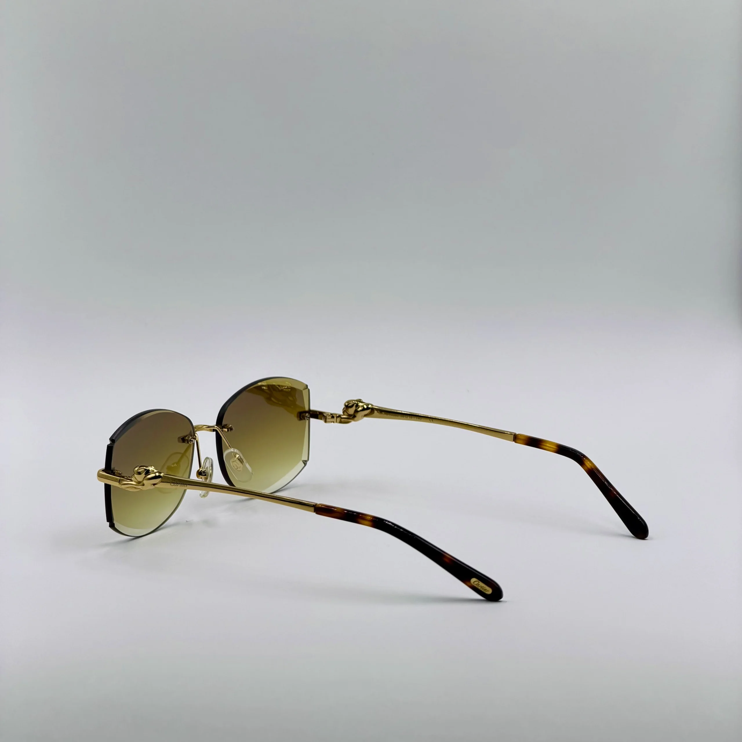 CARTIER CT0282 – Image 5