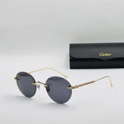 CARTI-IER TITANIUM CT0393S