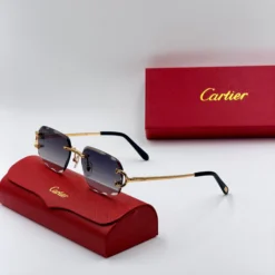 Cart-ier CT1628o – Image 18