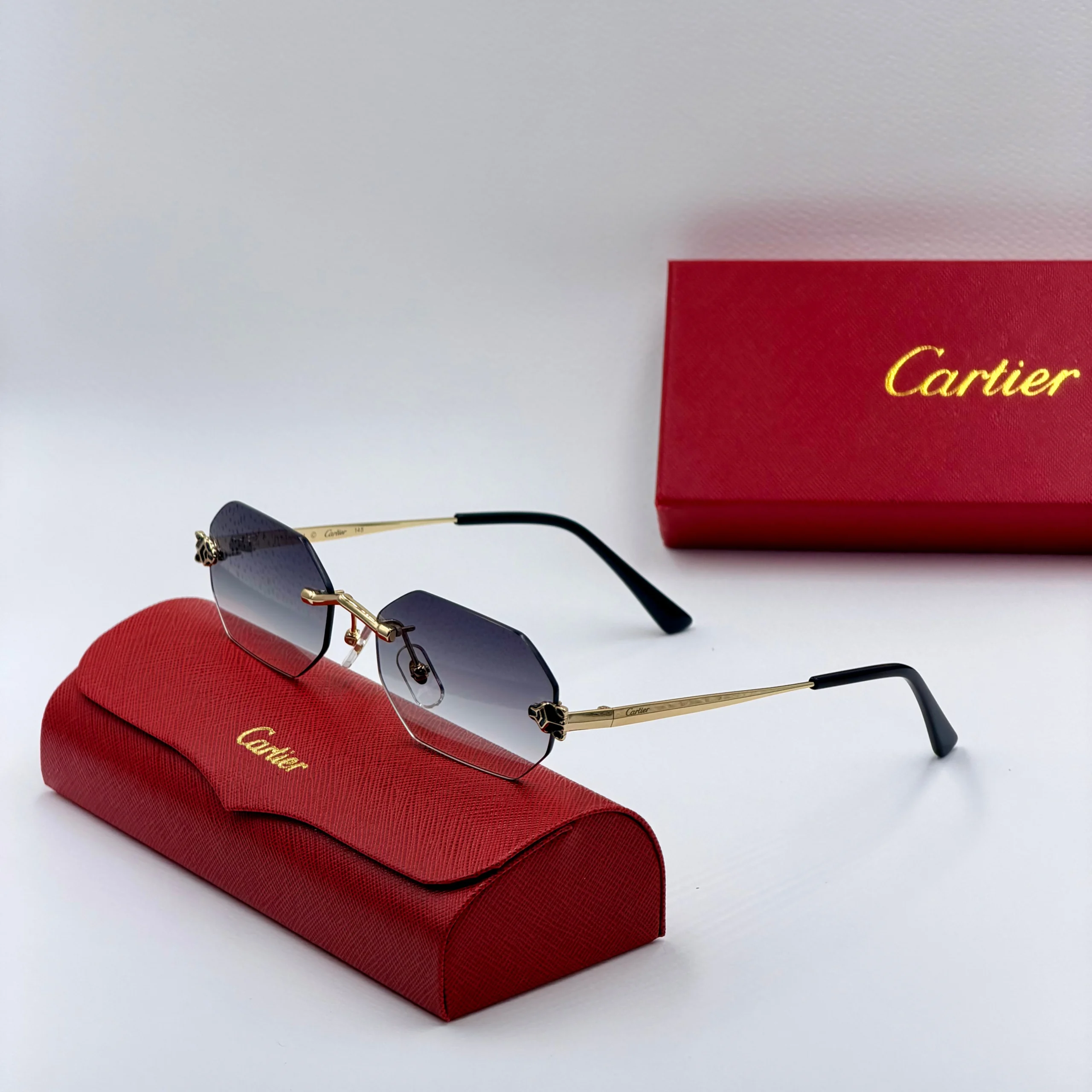CART-IER – Image 7