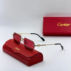 CART-IER – Image 9