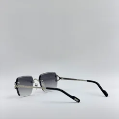 Cart-ier CT0717S – Image 4