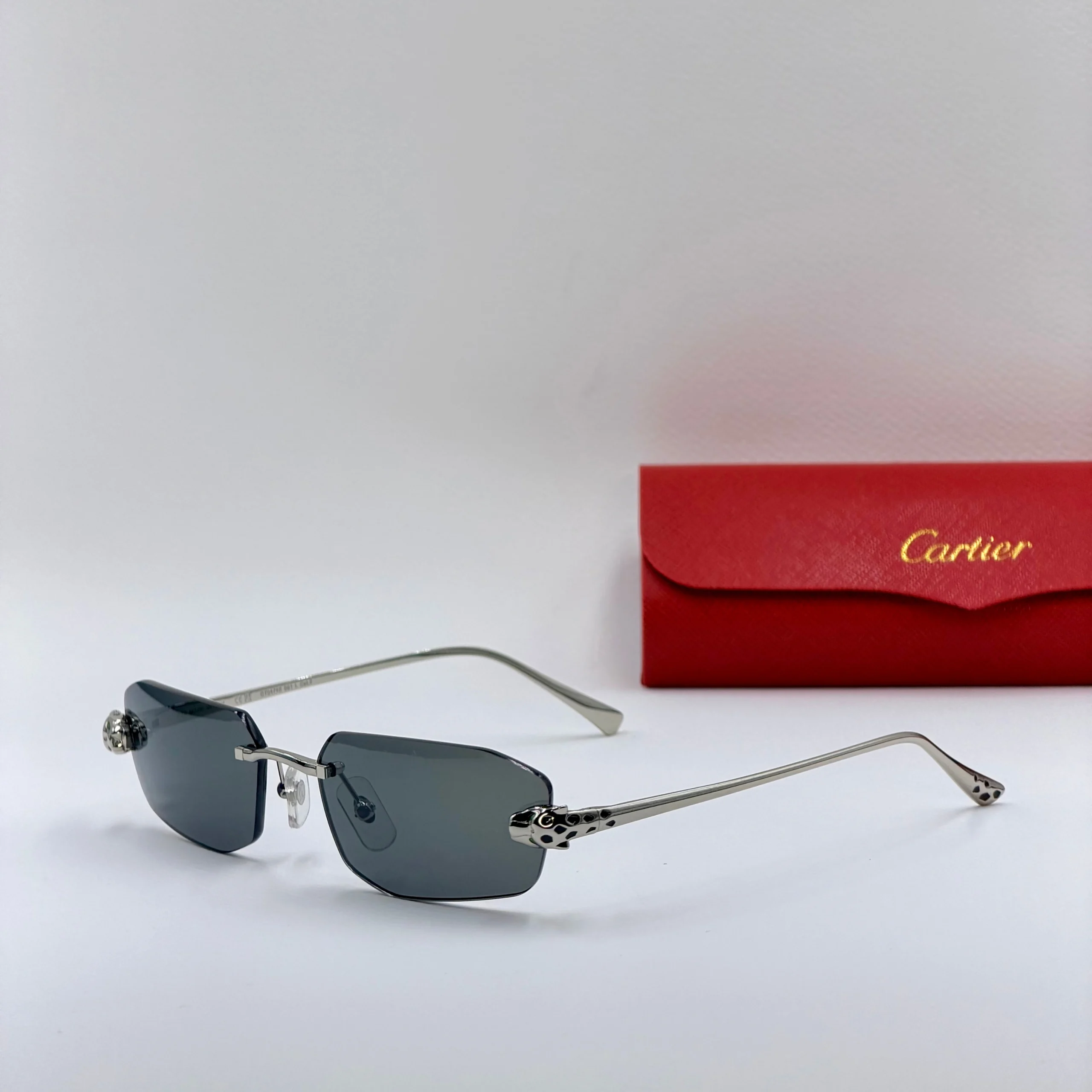 CART-IER CT04774S – Image 5