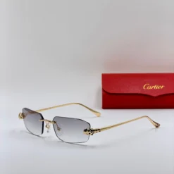 CART-IER CT04774S – Image 4