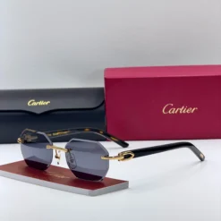 Alternative view of CART-IER CT0439S