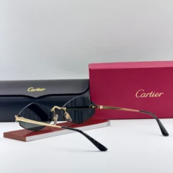 CARTIER CT0433S – Image 4